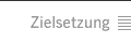 Zielstzung